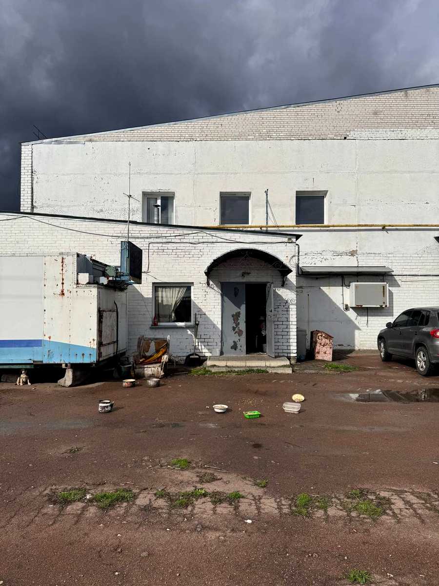 1877039985315248