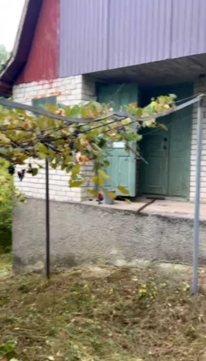 1877045380400796