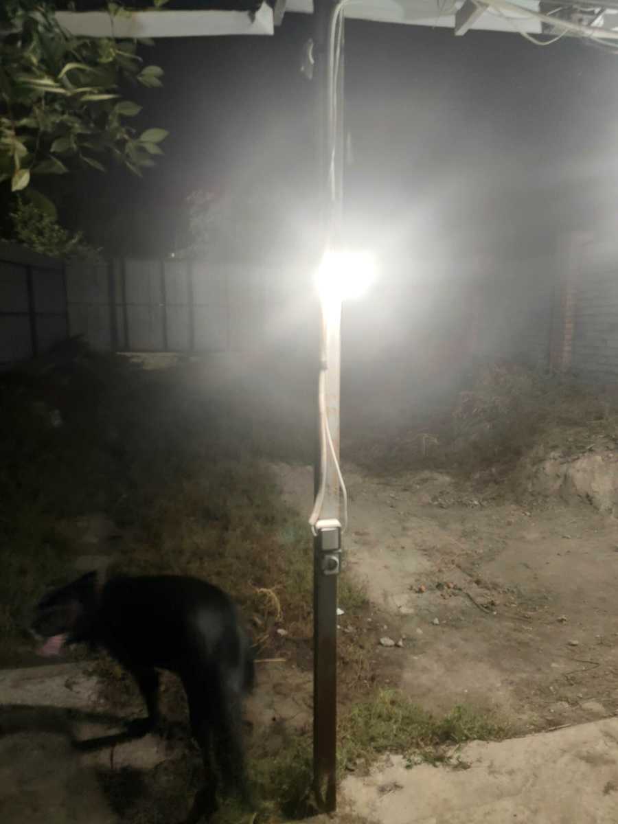 1877045924362855