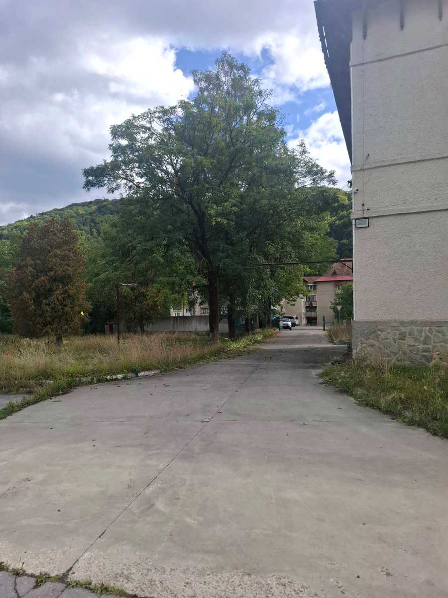 1877052609052951