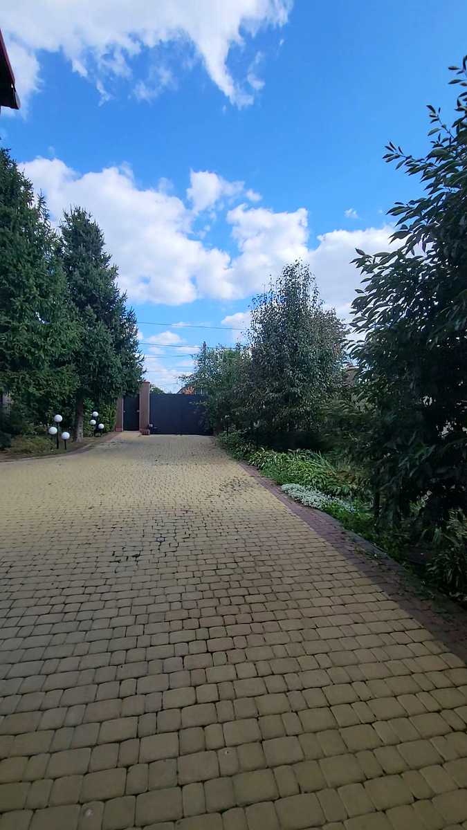 1877058134921085