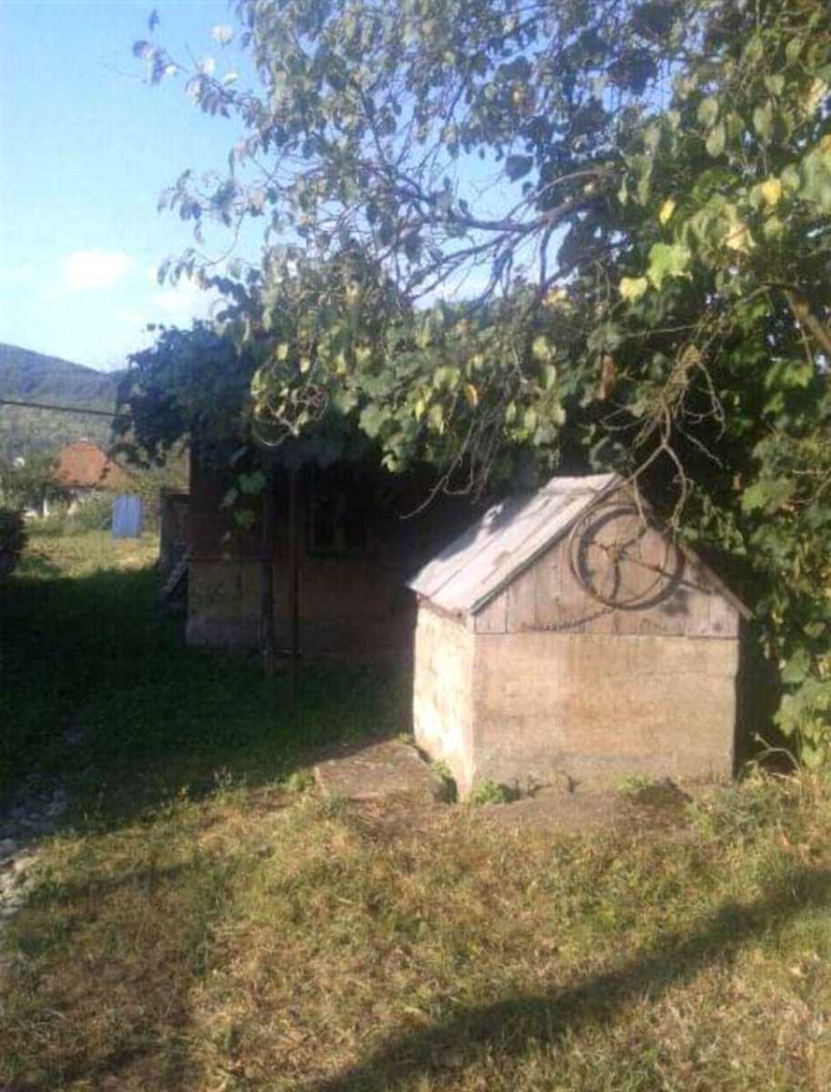 1877094218302922