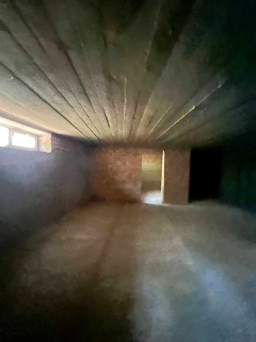 1877097315872335.jpg