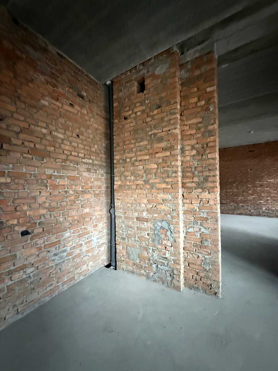 1877116022002781