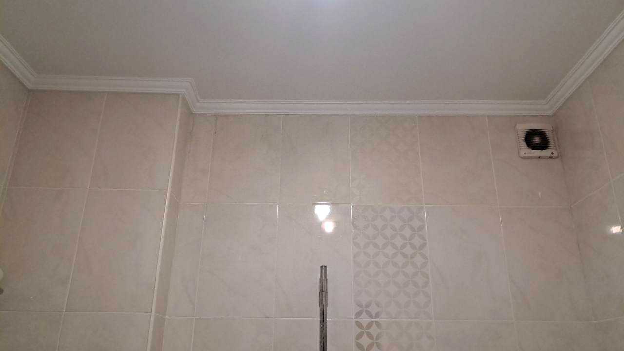 1877117238689938
