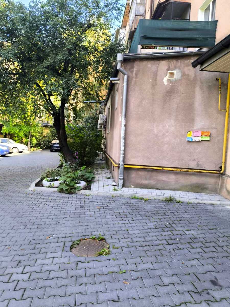 1877120862658364