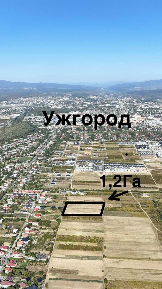 1877139889290934
