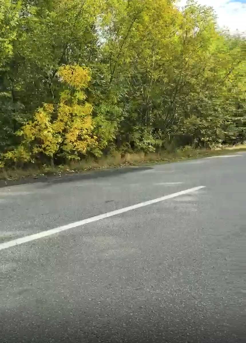 1877144053524589