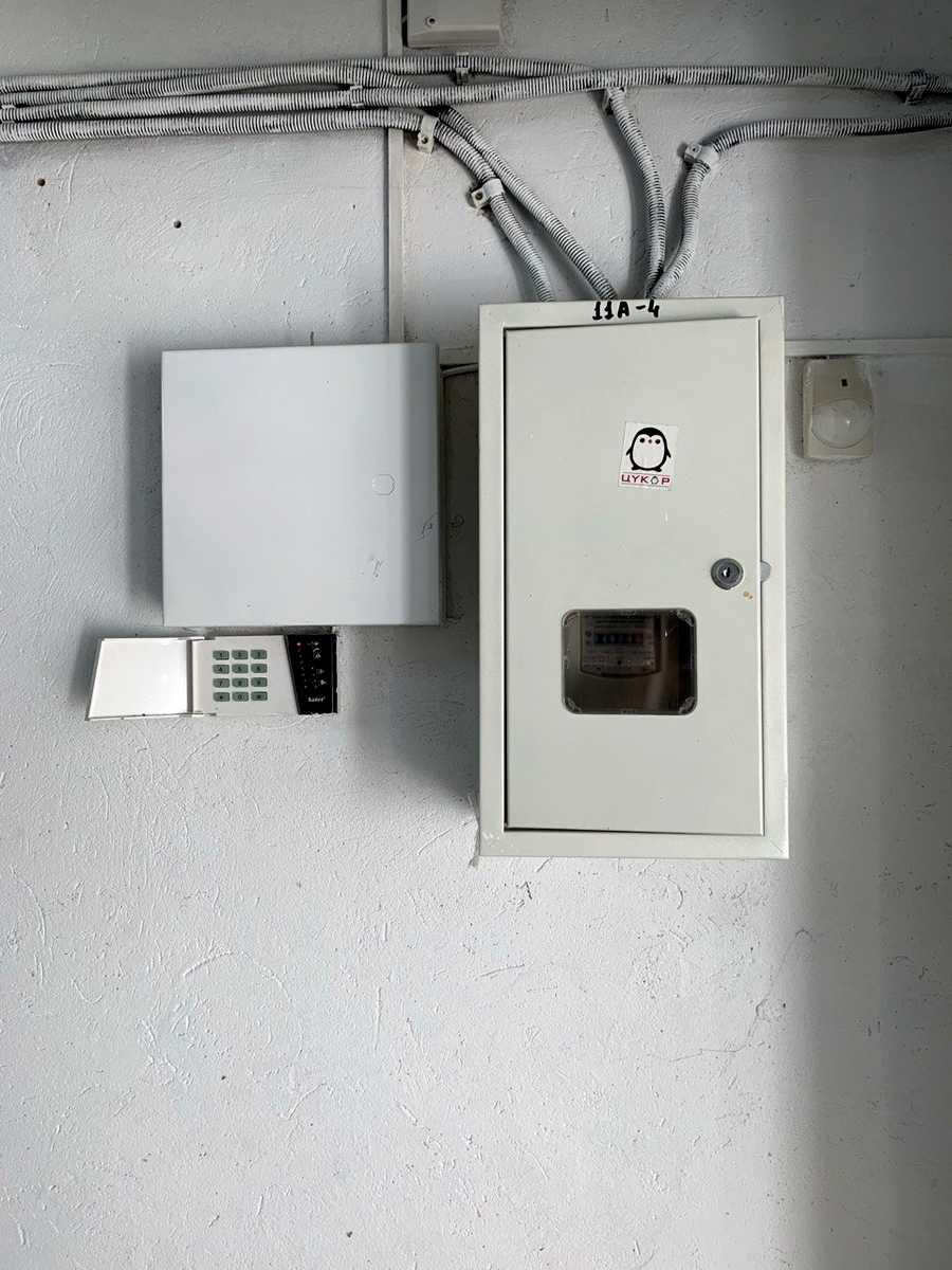 1877156778277483