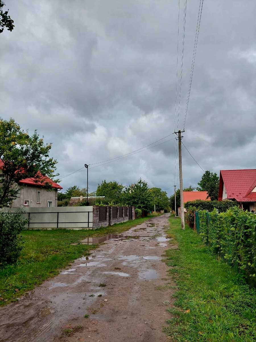 1877201290990307
