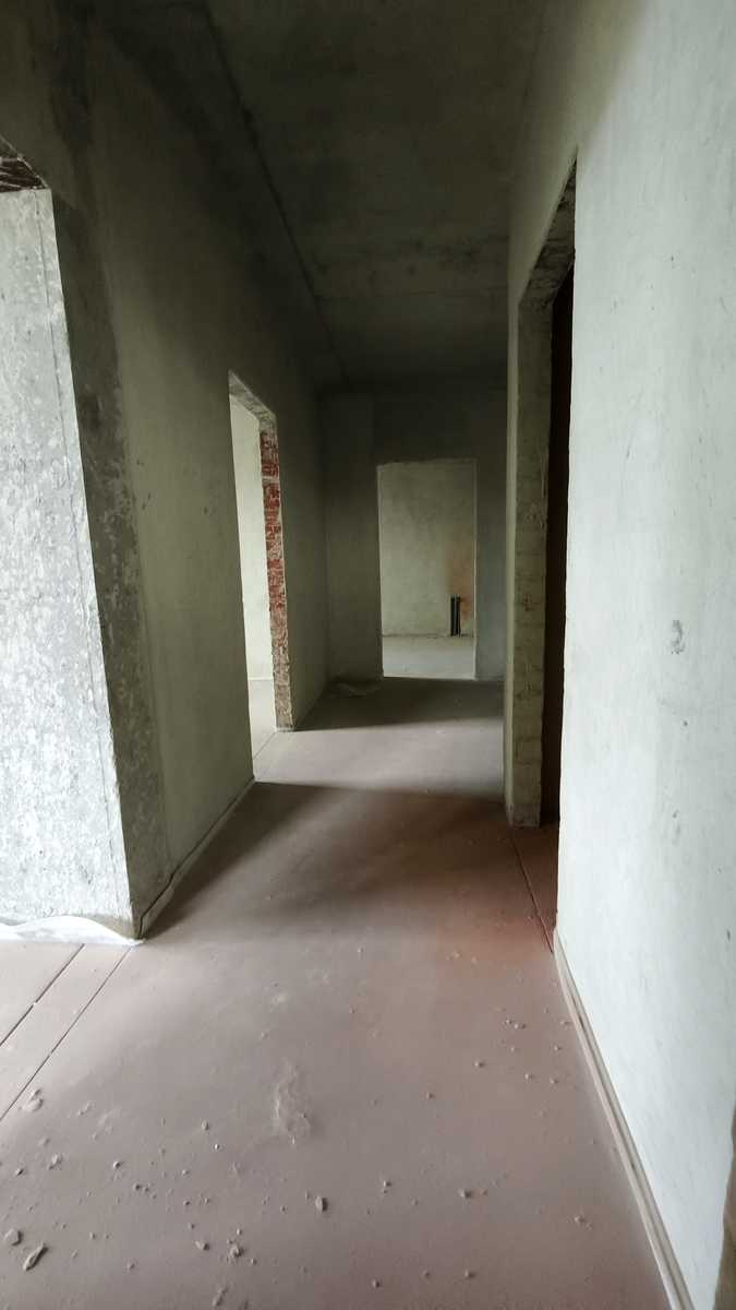 1877206339689306