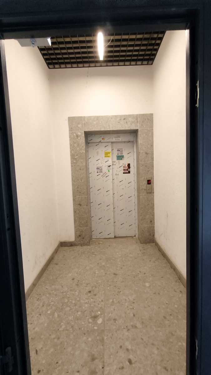 1877206346117261