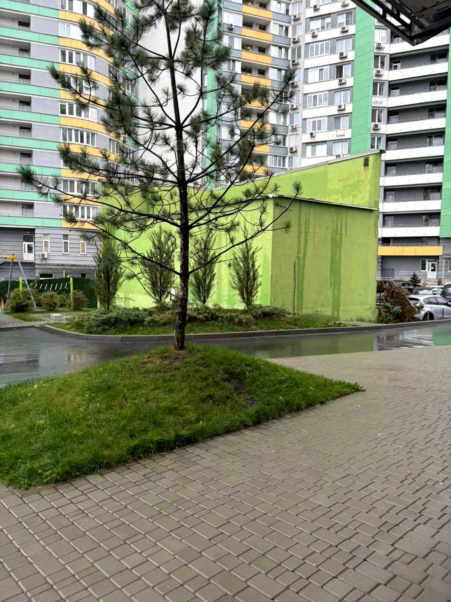 1877208464151897