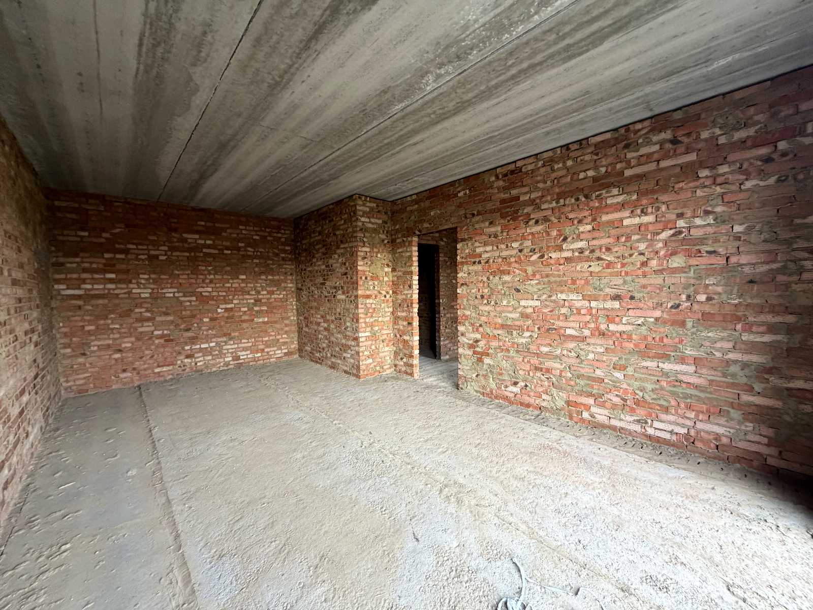 1877208661964253