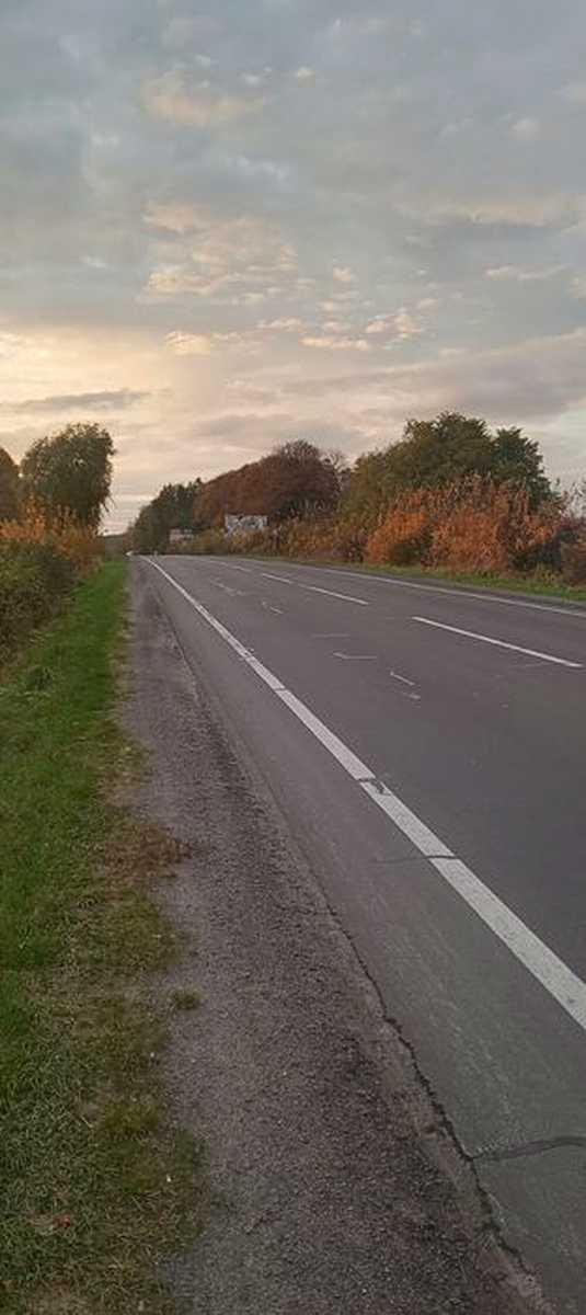 1877208850493340.jpg