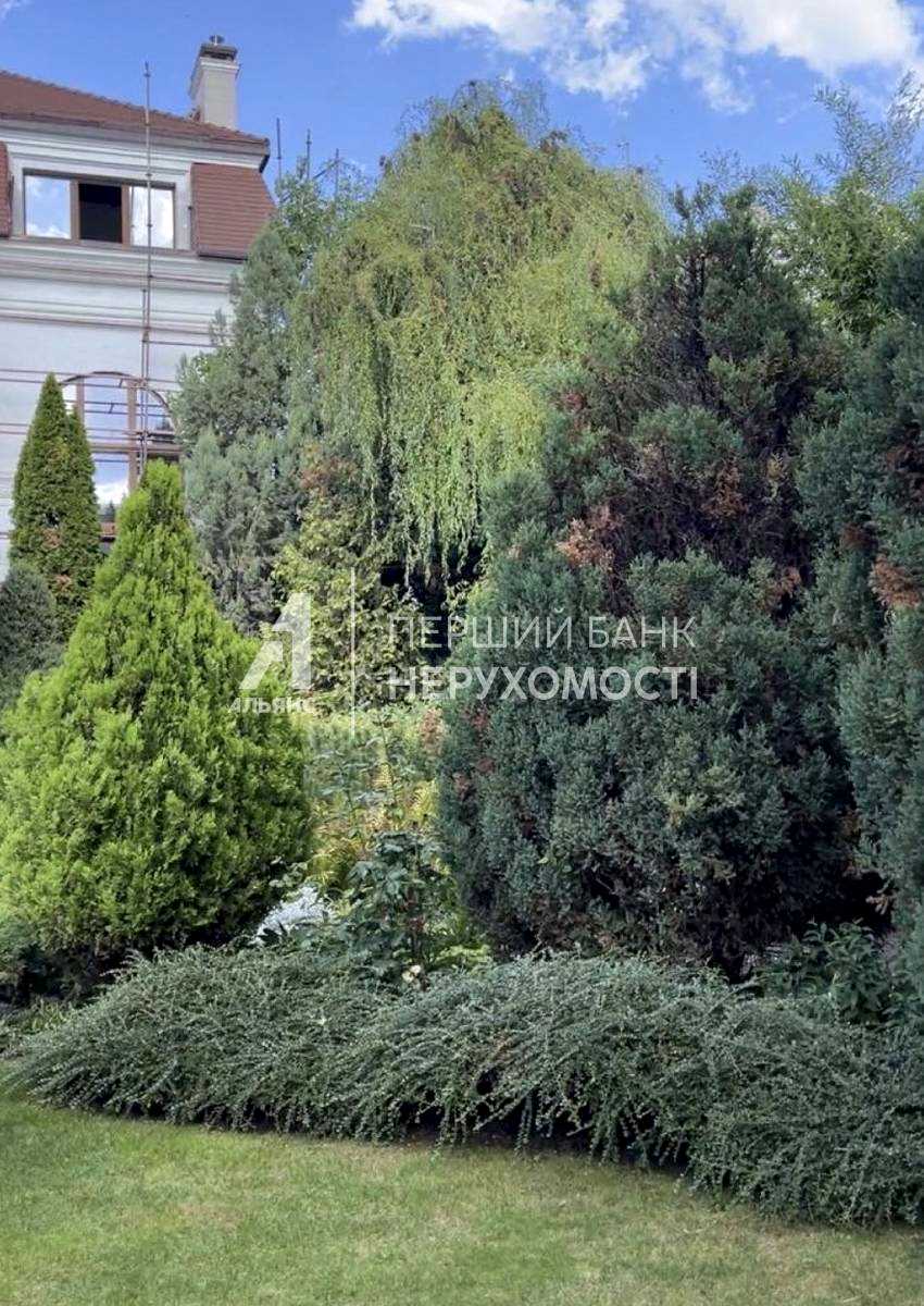 1877209537248679.jpg