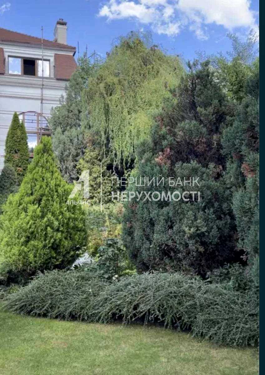 1877211025393043.jpg