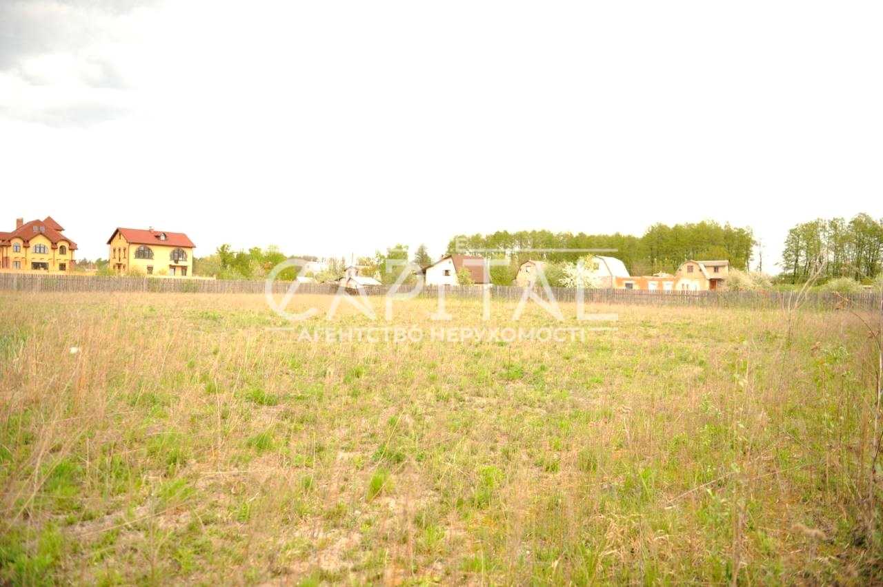 1877212058050903