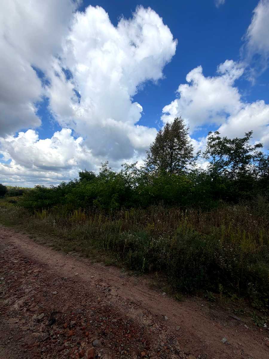 1877214525169715