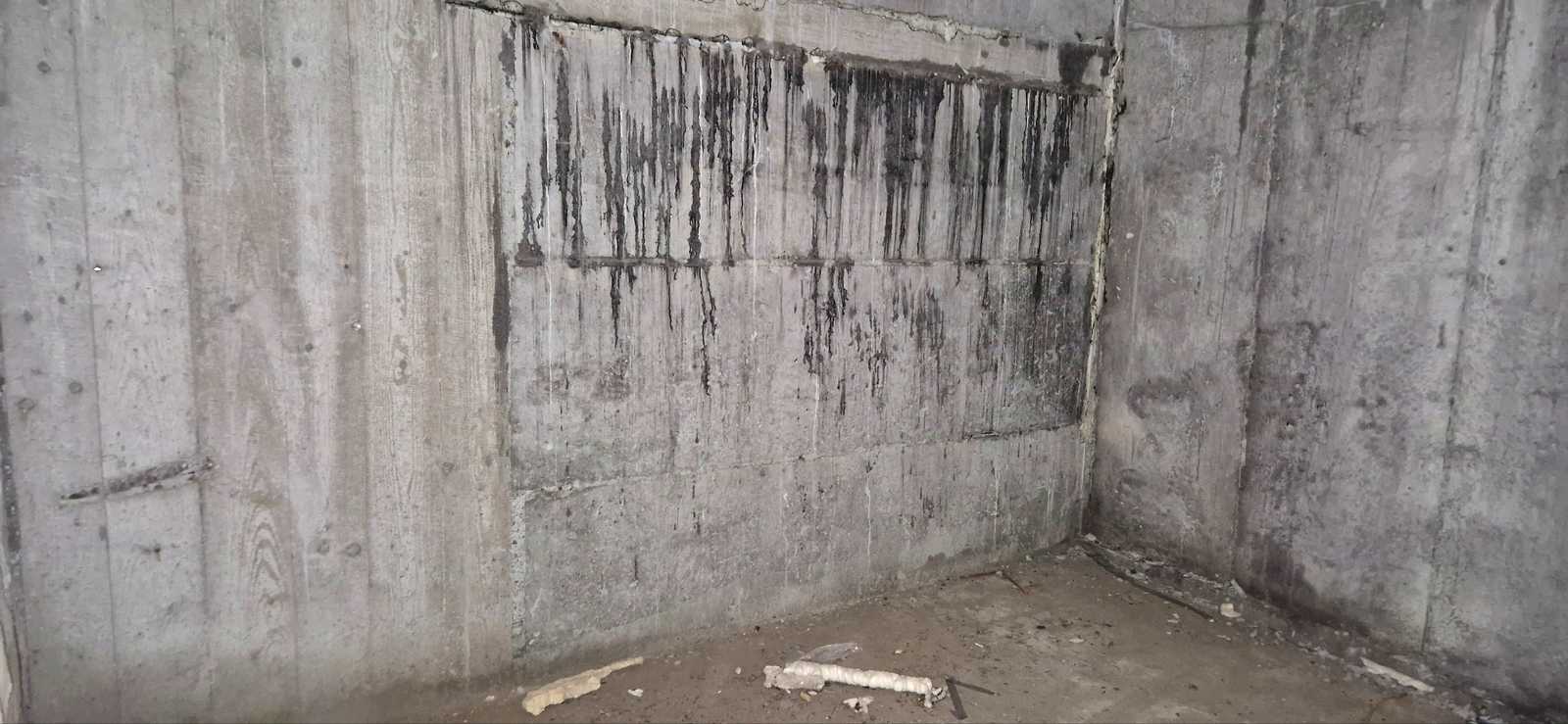 1877216862709281