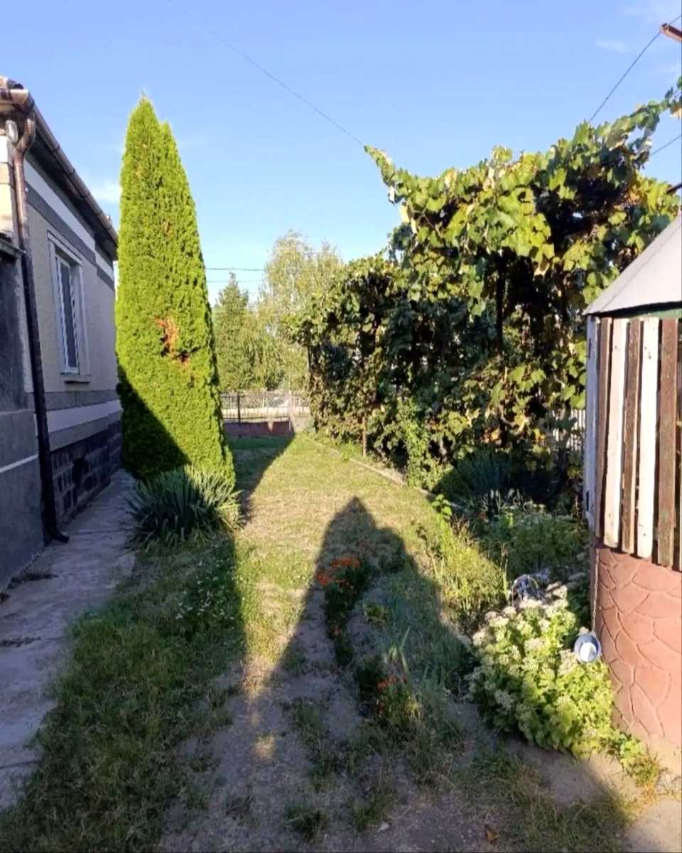 1877218581161245