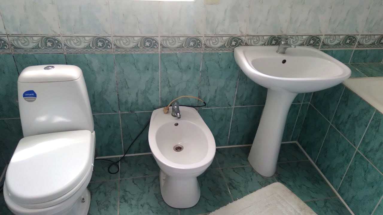 1877218589474665