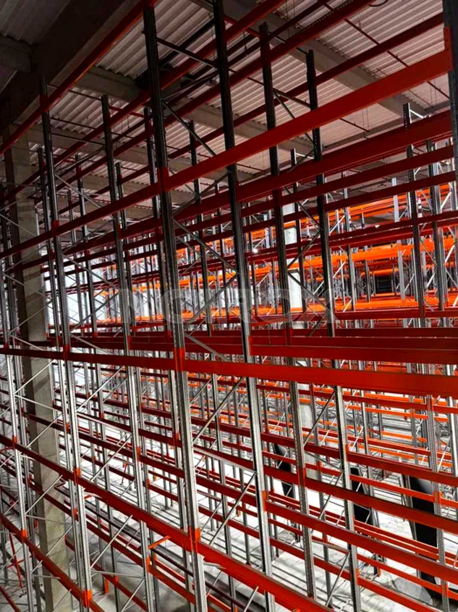 1877219250052003
