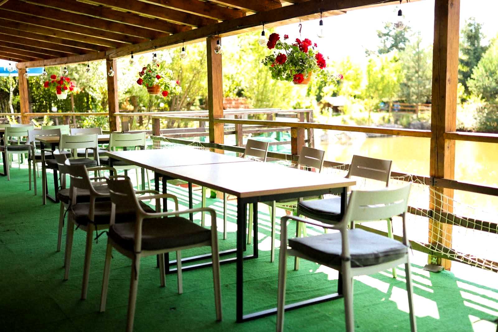 1877220028821981