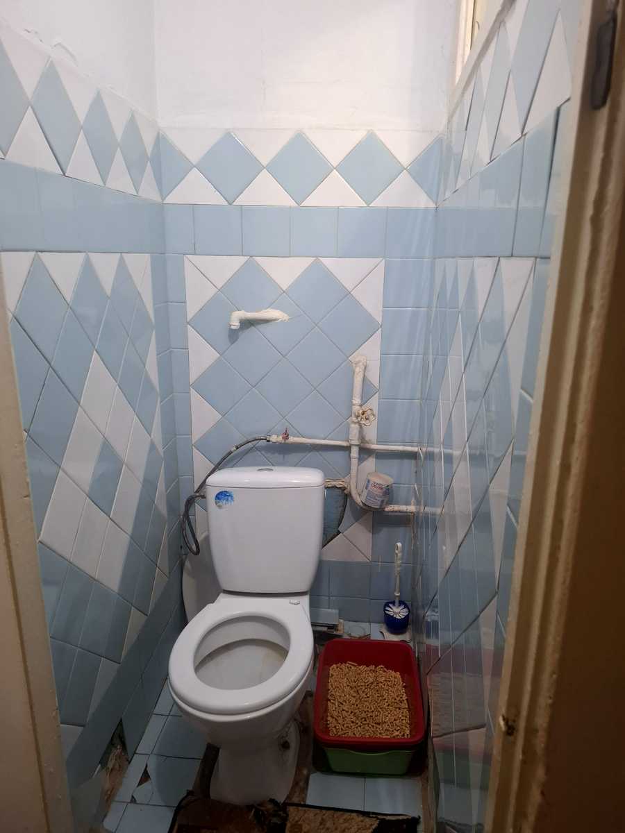 1877226902368313