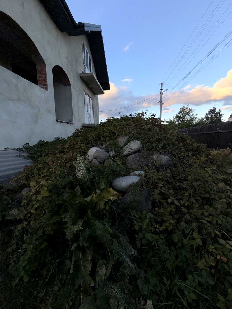 1877234385422121