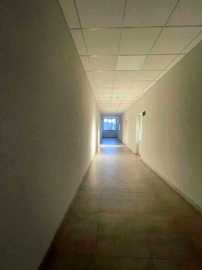 1877290066337089