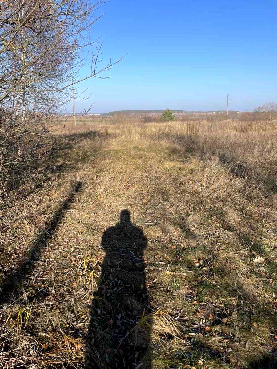 1877291510920853