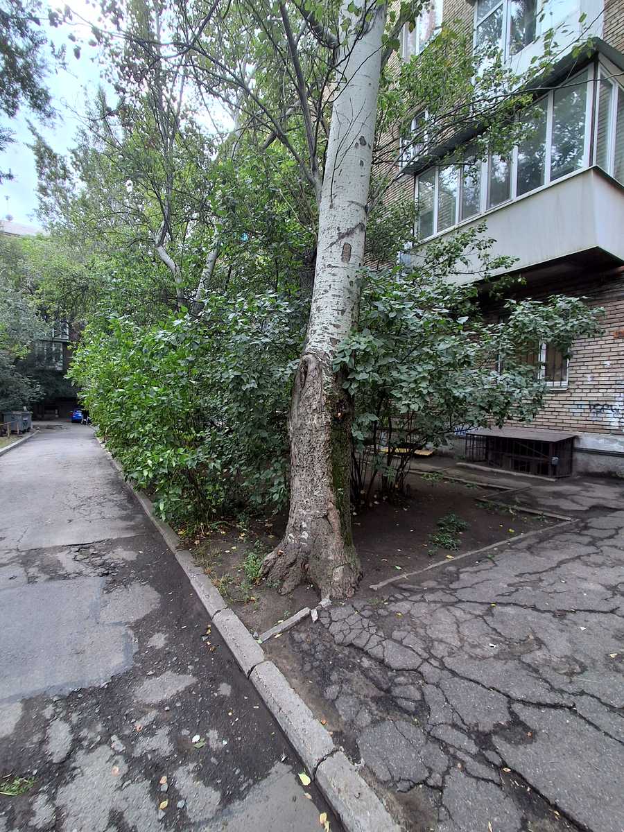 1877291572705600