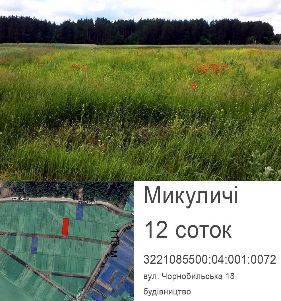 1877299541628890