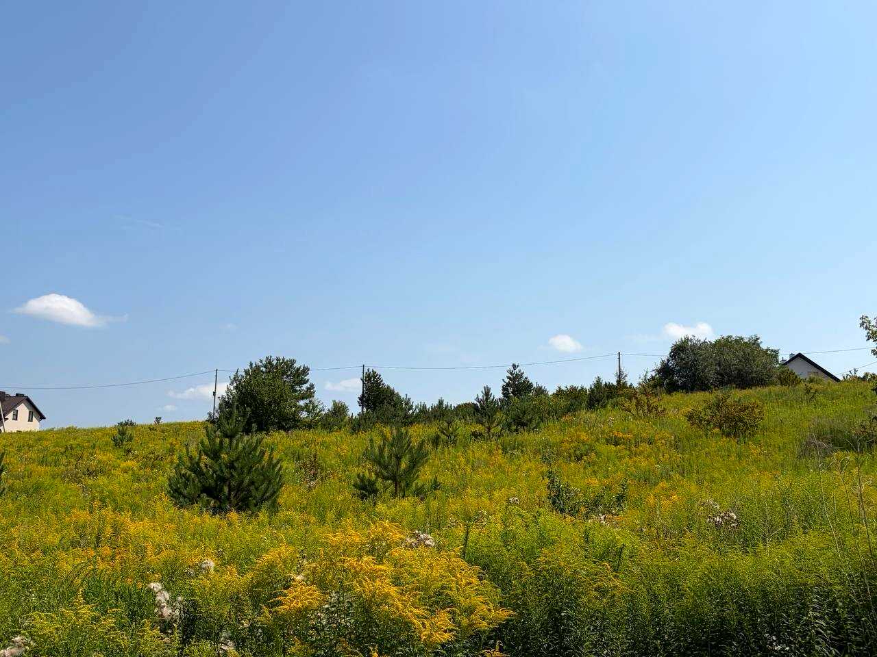 1877300061776510