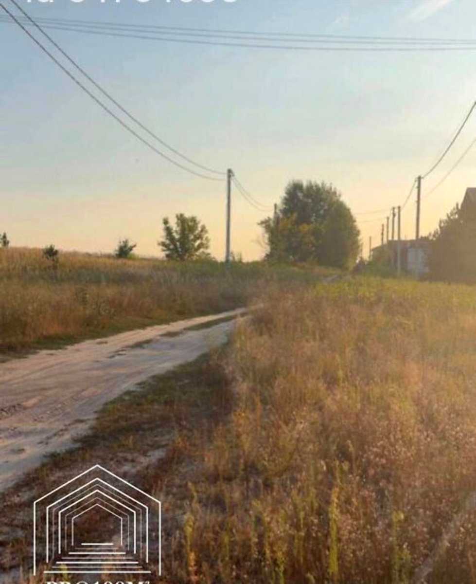 1877301684346216