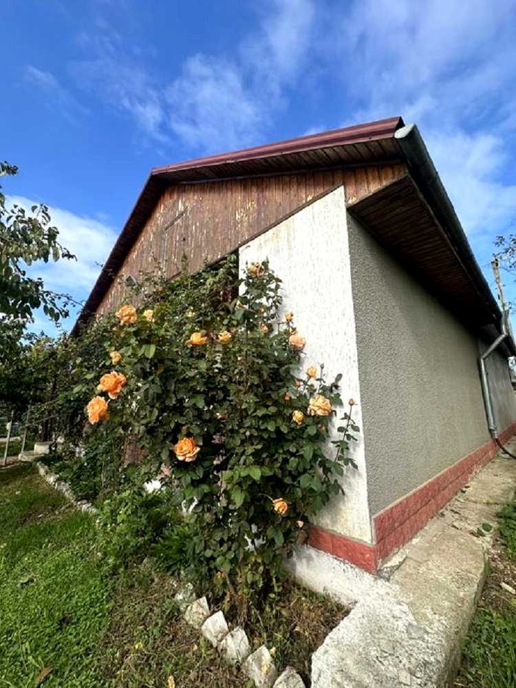 1877305230240850