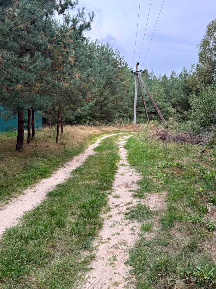 1877308304197553