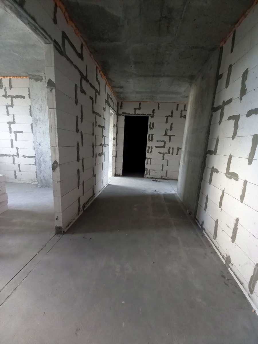 1877311649117442