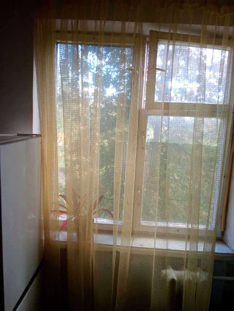 1877381667632697