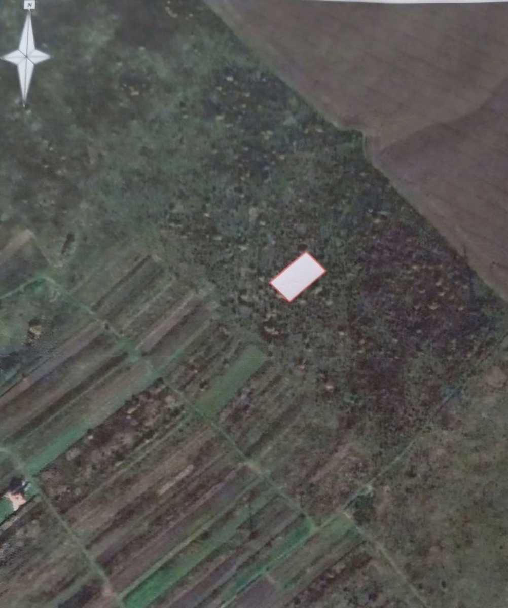 1877473730437131