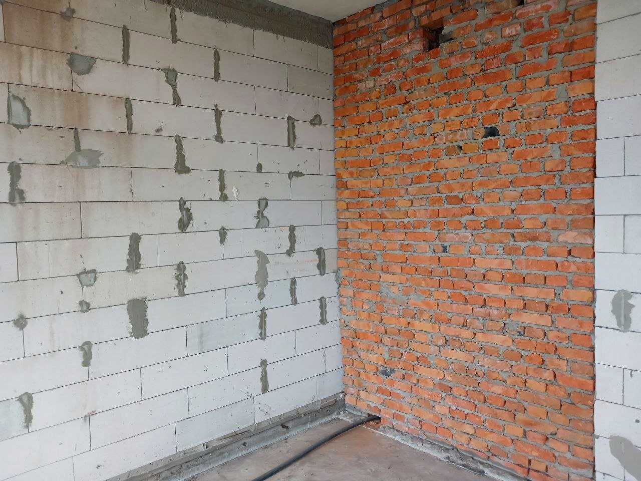 1877476381920466