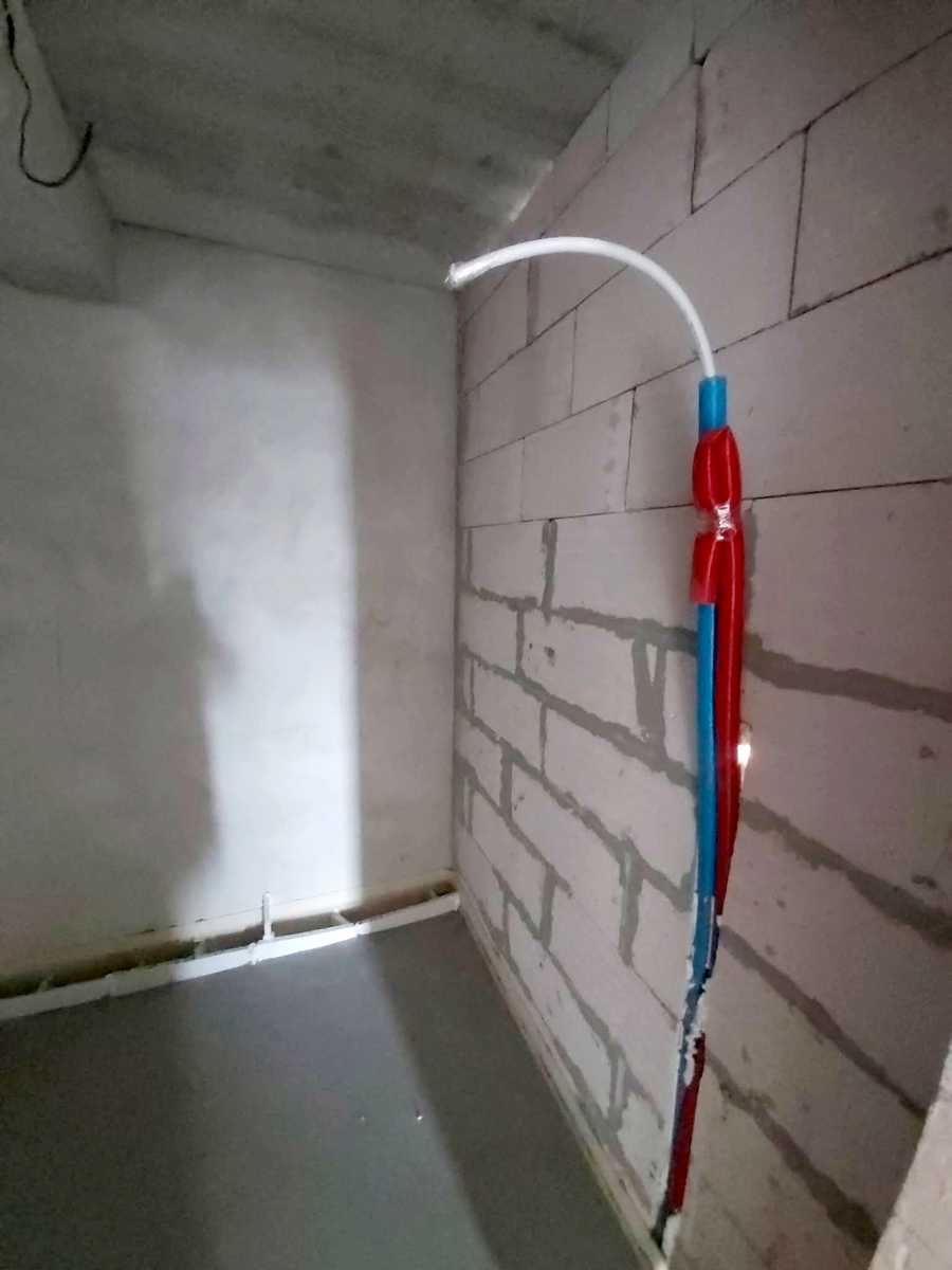 1877484863774501