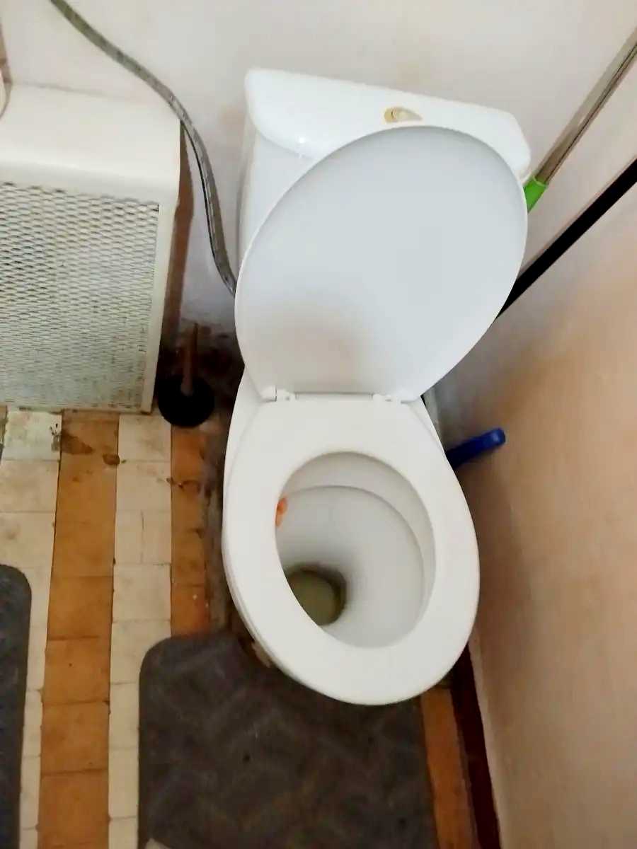 1877486516690583