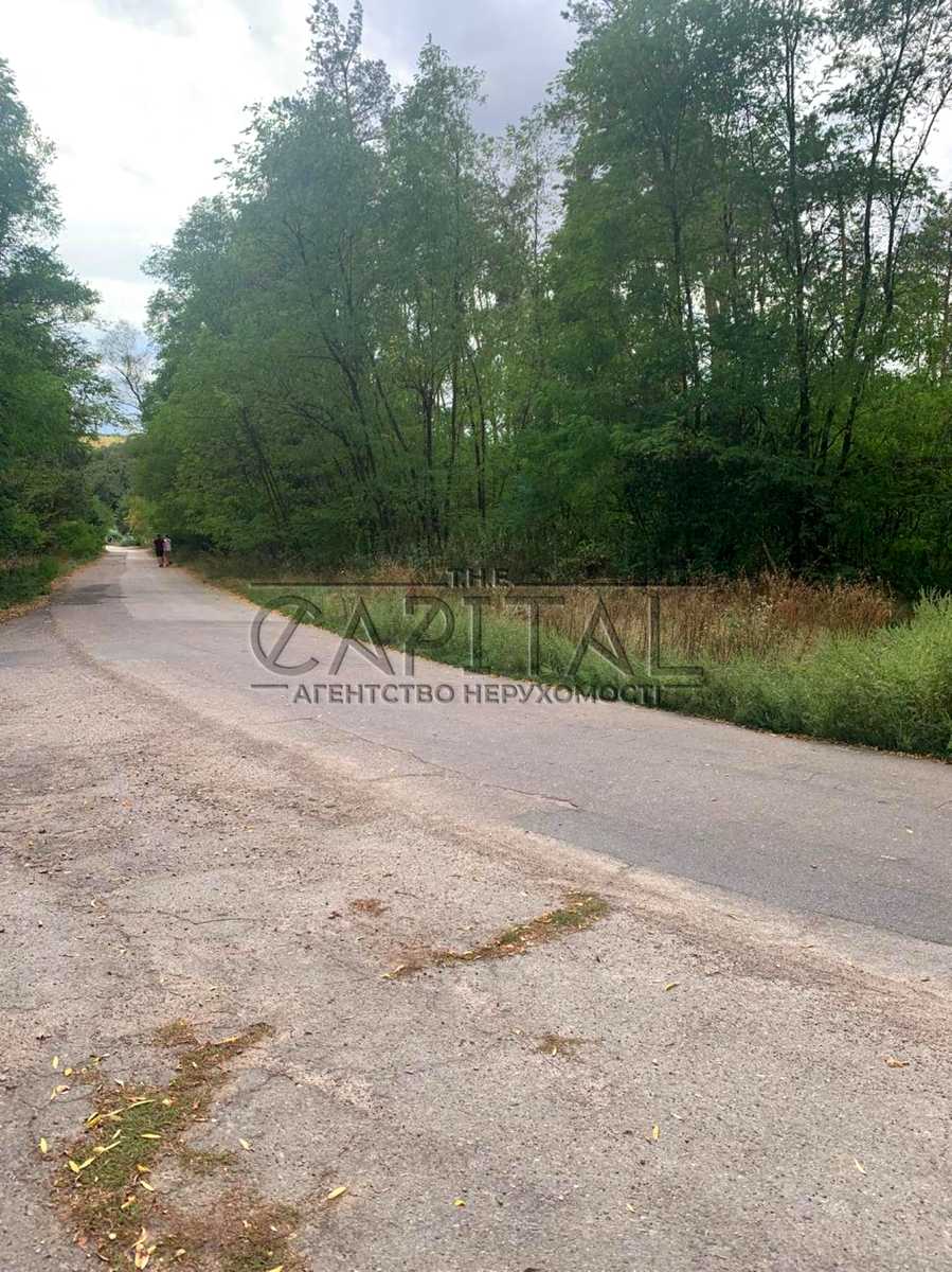 1877494514344671