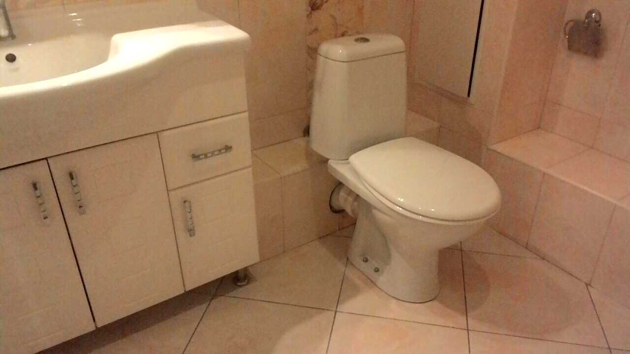 1877502386527905