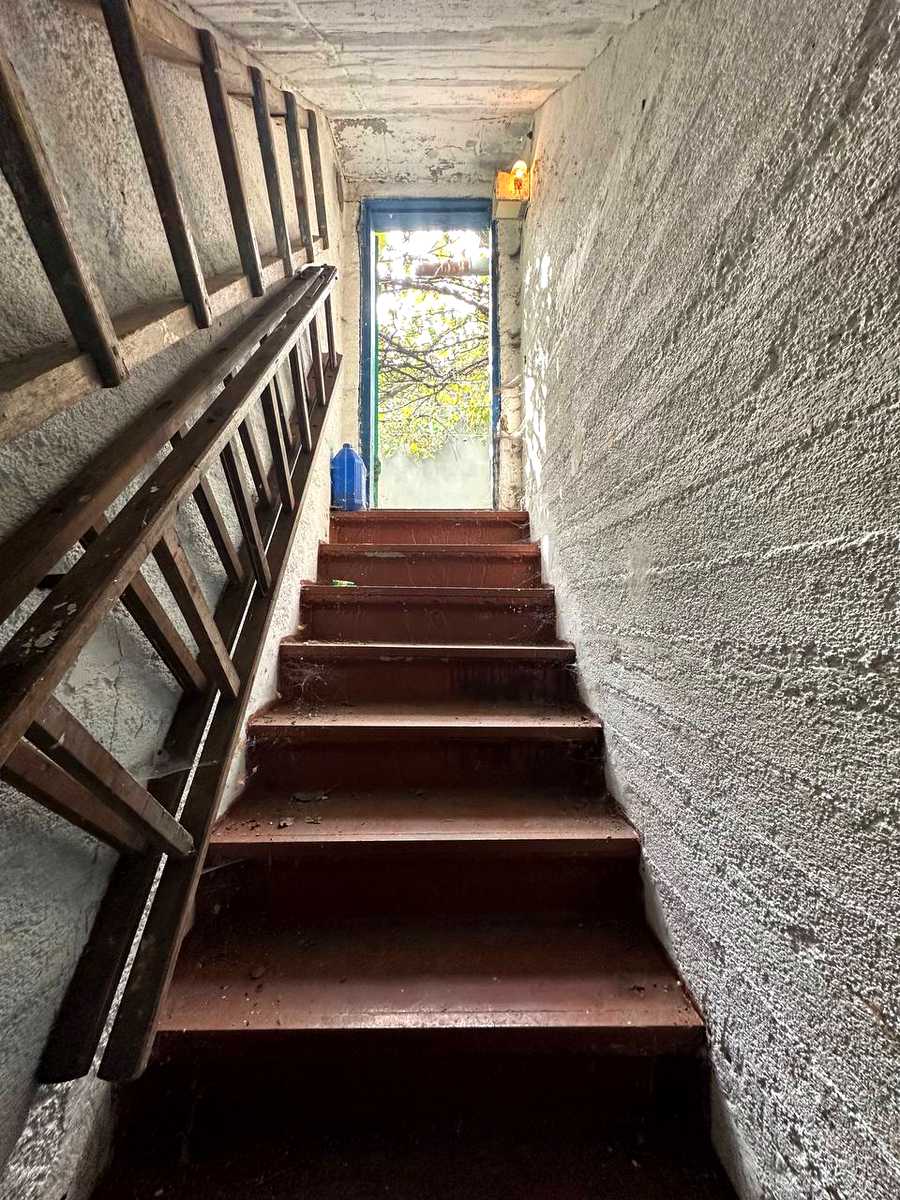 1877504088090394