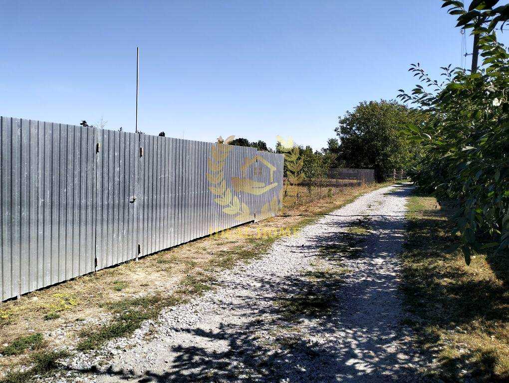 1877557206815378