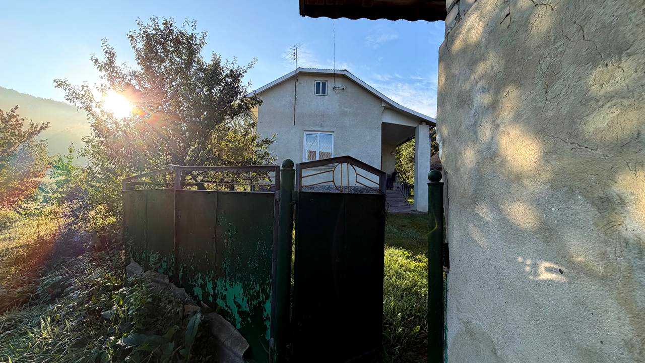 1877560099472427
