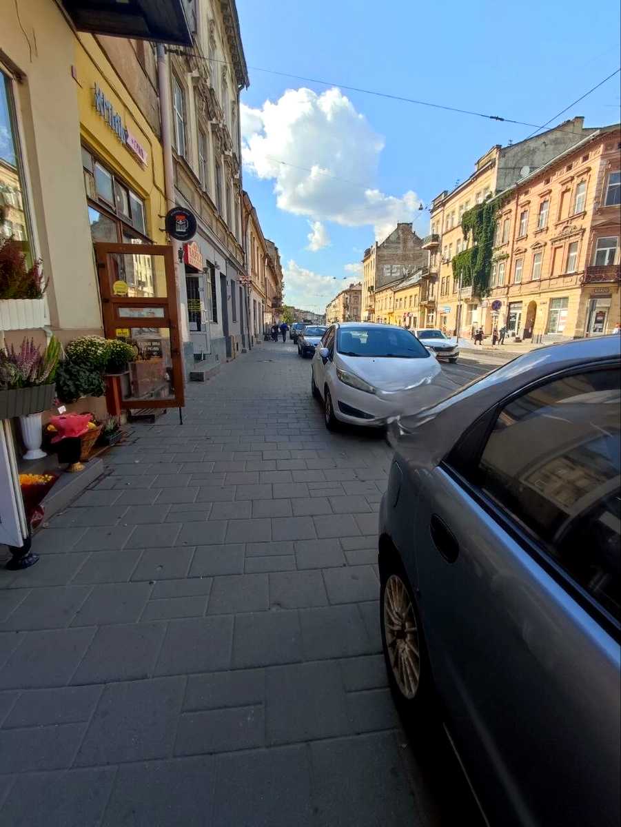 1877561529096224